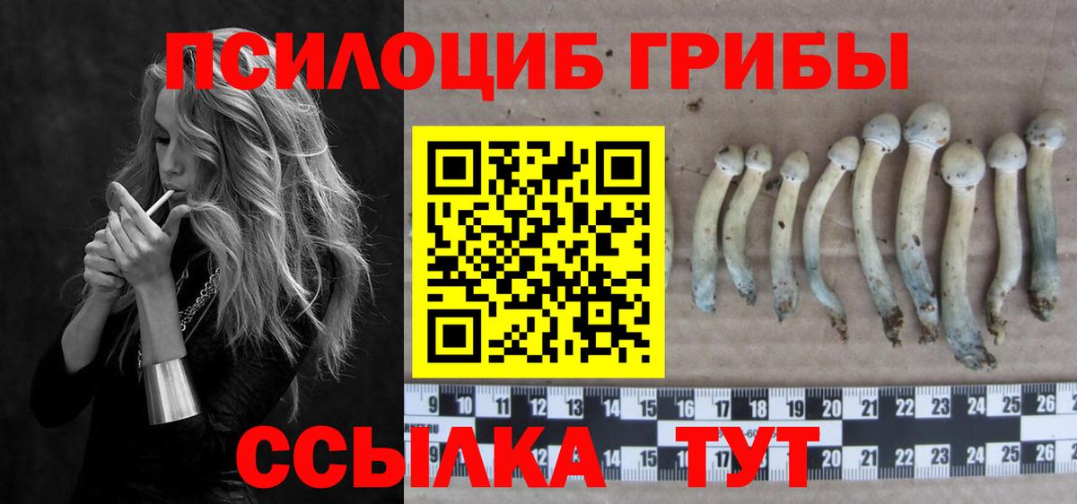 Старая Купавна  Псилоцибиновые грибы Psilocybine cubensis  Псилоцибиновые грибы Psilocybe  Вход с VPN 