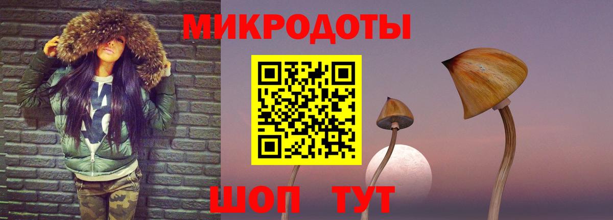 Псилоцибиновые грибы мицелий Старая Купавна